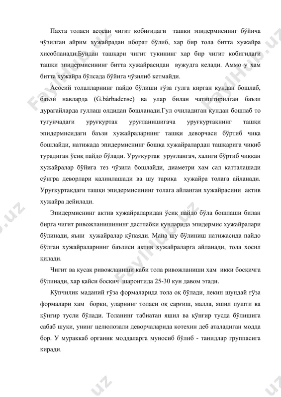 сиртидаги кутикуляр қават оқ толага қараганда бир мунча қалин бўлади. илмий маълумотларга қараганда мой-мум моддалардан ташқил топган кутикуляр қават оқ толаларда массасига нисбатан атиги 0,6% бўлган холда яшил ва қўнғир толаларда 4-7 % га етади. кутикуляр қават толанинг йигирилиш хусусиятини яхшилайди. шунингдек, кутикуляр қават целлюлозали девор ичига нам ўтказмайди, бу эса толани бузилишдан сақлайди. оқ тола асосан ўрта толали ғўзанинг кўпчилик навларига, жайдари ғўза, хинди-хитой ғўза туридаги навларга хос хусусиятдир. оч сариқ тусли тола эса асосан ингичка толали ғўза турига мансуб формалар учун характерлидир. қўнғир тус толали пахта 4 та турдаги маданий ғўзаларнинг хаммасида кузатилади, яшил ёки оч яшил толали пахта эса асосан g. hirsutum ва g. herbaceum тур ғўза навларига хос бўлиб, камдан кам учрайди. пахта толасини ишлатишда унинг технологик хусусияти қатта ахамиятга эга. шу билан бирга чигитли пахтадан қанча миқдорда тола чиқиши хам хўжалик жихатидан жуда мухимдир. толанинг асосий технологик хусусиятларига- узунлиги,ингичкалиги, пишиқлиги , буралувчанлиги , эластиклиги, узулиш …