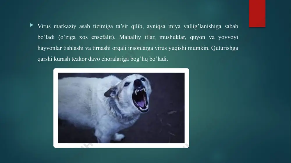 qutirish kasalligiga diagnoz qo’yish - Page 5