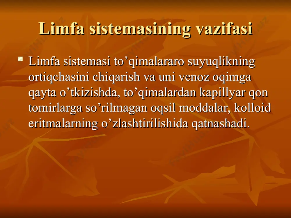 limfa sistemasi - Page 5