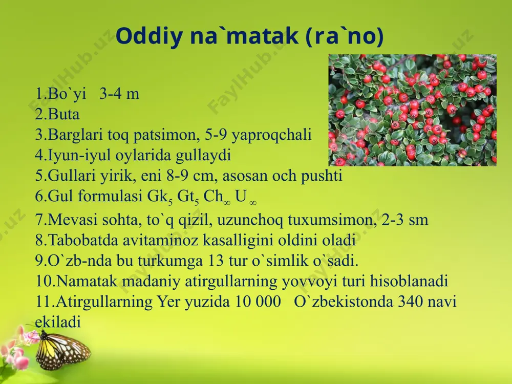 ra'noguldoshlar oilasi - Page 5