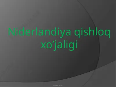 niderlandiya qishloq xo’jaligi — PPTX
