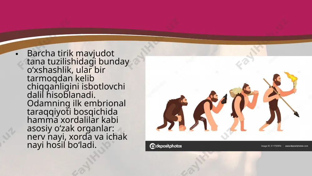 antropologiya odam evolutsiyasi haqidagi fan. 10 - sinf - Page 5