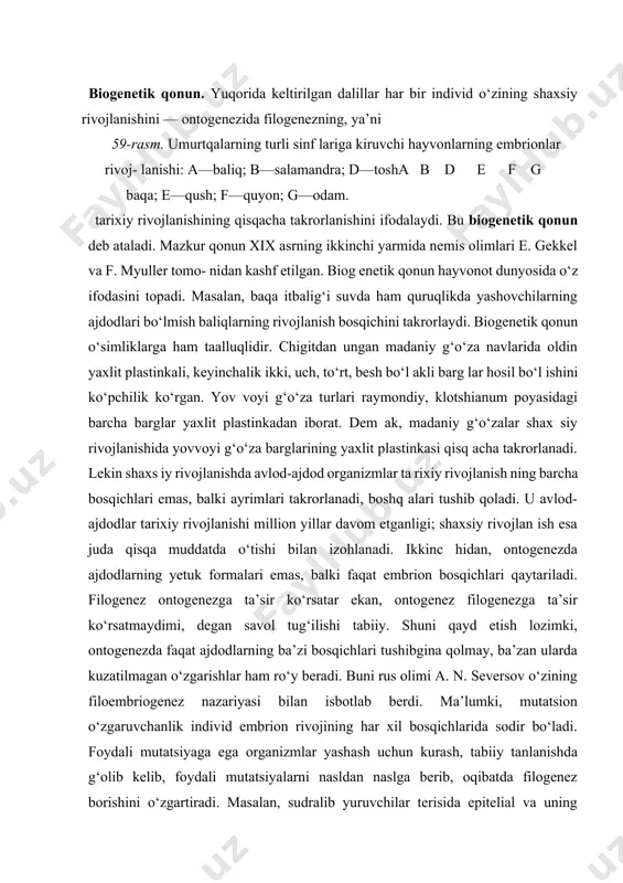 ruvchanlik individ embrion rivojining har xil bosqichlarida sodir bo‘ladi. foydali mutatsiyaga ega organizmlar yashash uchun kurash, tabiiy tanlanishda g‘olib kelib, foydali mutatsiyalarni nasldan naslga berib, oqibatda filogenez borishini o‘zgartiradi. masalan, sudralib yuruvchilar terisida epitelial va uning ostidagi birikti- ruvc hi to‘qima hujayralari rivojlanib, tangachalar hosil qiladi. sutemizuvchilarda esa epitelial va biriktiruvchi to‘qima hosilalari rivojini o‘zgartirib, teri orasida soch xaltasini rivojlanti- radi. solishtirma anatomiya. makroevolutsiyani isbotlashda gomologik, analogik, rudiment organlar, shuningdek, atavizm hodisasining ahamiyati benihoya katta. gomologik organlar. bajaradigan funksiyasidan qat’i nazar, ot oyog‘isalamandra toshbaqa ko‘rshapalak qush oyog‘i krot oyog‘i oyog‘i oyog‘i oyog‘i 60-rasm. gomologik organlar. tuzilishi va kelib chiqishi jihatidan bir-biriga o‘xshash organlar gomologik organlar deb ataladi. umurtqali hayvonlarning quruqlikda, havoda tarqalgan vakillarida oldingi oyoq yurish, yer qazish, uchish, suzish vazifasini bajaradi. lekin ularning hammasida oldingi oyoq, yelka, bilak, tirsak, kaft usti, kaft va barmoq suyaklaridan iborat (60-rasm). gomologik organlar o‘simliklarda ham uchraydi. chunonchi, no‘xat gajaklari, zirk va kaktus tikanlari …