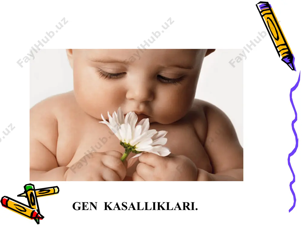 di. qonda melanin kam bo`lgani uchun bunday kasallarnining terisi sarg`ish oq bo`ladi.kasallarda aqliy zaiflik ularning bir yoshligidayoq seziladi va ayrimlarida o`zidan ketib qolish holatlari tutqanoq kuzatiladi. kasallik hech aniqlanib davolanmagan bo`lsa,kasalning ahvoli juda og`irlashadi bu kasallik autosomadagi retsessiv gen ta`sirida yuzaga chiqib,bolalar orasida 1:1000 nisbatda uchraydi.odatda aqliy zaif bolalarning 1-2%da fenilketonuriya kasalligi bo`ladi. bu kasallikni aniqlashda asosan biokimyoviy usuldan foydalaniladi. siydikka bir necha tomchi fecl3 eritmasidan tomizilganda yashil rang paydo bo`ladi.kasallikni davolashda parhez asosiy rol o`ynaydi,ya`ni kasal fenilalanin aminokislotasi ko`p bo`lagan oziq ovqatlarni istemol qilamasligi kerak.kasallikning oldini olishda siydiknining dastlabki biokimyoviy tahlili va genetik vrachning maslahati katta rol o`ynayadi. bu kasallikda fenilalanin va tirozinning keyiningi ko`rinishlarga o`tishi jarayoni buziladi.fenilalanin hisobiga va ovqat bilan organizmga tushgan tirozin normada p gidroksifenilpirovinograd kislotasiga aylanadi.bu kislota esa o`z navbatida gomogentizin oksidaza fermenti yordamida gomogentizin kislotasiga aylanadi. alkoptonuriya kasalligida esa,gomogentizinoksidaza fermentining sintezini belgilovchi gen mutatasiyaga uchragani uchun organizmda bu ferment juda kamayib ketadi.natijada, to`qimalarda va …