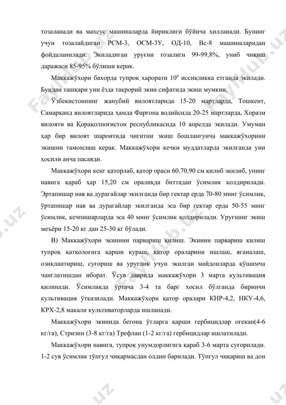 уддатда йиғиб олинади, ер экишга тайёрланади ва уруғ экилгандан сўнг суғорилади. умуман маккажўхори такрорий экин сифатида экилганда унинг агротехникаси бахорда экилгандагига нисбатан кам фарқ қилади. фақат маккажўхорининг эрта пишар нав ва дурагайлари экилиши керак. ўзбекистонда хозирги вақтда перекоп тв ва ўзбекистон-306 мв эртапишар дурагайлари экилмоқда. бу дурагайлар такрорий экин сифатида экилганда 35-50 центнергача дон беради. д) хосилни йиғиб олиш. маккажўхори силос учун экилганда донининг сут-мум пишиш даврида ўпилади. бунда кск-100, викр, кс-1,8 комбайинлари ишлатилади. дон учун экилган маккажўхори дони тўла пишганда, сўта қаторлари қуриганда йиғиштириб олинади. бунда махсус комбайнлар херсонец-200, херсонец-7 ишлатилади. бу комбайнлар маккажўхорини ўриш, поясини майдалаш, сўталарни поядан ажратиб олиш ва уларни қобиғини арчиш каби ишларни бир йўла бажаради. сўталар эса хўжаликда оддий молотилка ёки комбайнда янчилади. адабиётлар: 1.г.с.посўпанов растениеводства м.колос. 1997 172-183 бетлар. 2.х.н.атабаева, з. умаров, х.ч.бўриев ва бошқалар ўсимликшунослик т.мехнат-2000, 90-97 бетлар.