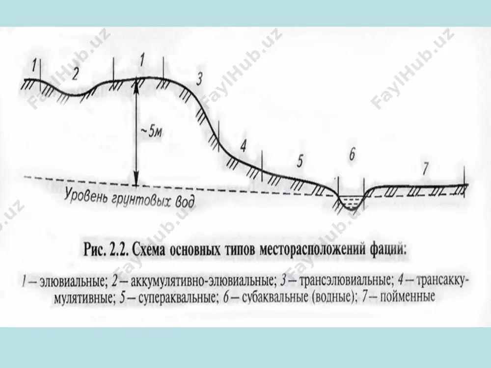 va togʻ etaklarining quyi qismlarida joylashgan. bu erda nafaqat olib tashlash, balki suyuqlik va qattiq oqimning qisman to'planishi (deluvium) mavjud. yuqoridan oqib chiqadigan er usti suvlari tufayli botqoqlanish kuzatilishi mumkin. superakvatik fatsiyalar o'simliklar uchun qulay bo'lgan er osti suvlari yaqin joylashgan past relyefli hududlarda hosil bo'ladi. ikki kichik tur mavjud: transsuperaqueous fatsiyalar (er osti suvlari chiqadigan va er usti suvlari kiradigan joylarda); ладога haqiqatan ham superakvatik fasiyalar (er osti suvlari yaqin joylashgan past relyefli hududlarda). bunda botqoqlanish sharoiti yer osti suvlarining ko`tarilishi hisobiga ham, atrofdagi elyuvial fatsiyalardan er usti oqimlari hisobiga ham vujudga keladi. pasttekislik botqoqlari shakllangan. tuproqning harakatchan kimyoviy elementlar bilan boyitish sharoitida o'ziga xos biotsenozlar - pasttekislik o'tloqlari rivojlanadi. михайловское suv omborlari tubida suv osti (suv osti) fatsiyalari hosil bo'ladi. ko'chma va yaxshi eriydigan elementlar suv omboriga er usti va er osti suvlari bo'lgan atrofdagi fatsiyalardan kiradi, shuning uchun suv omborlari tubida eng yuqori migratsiya qobiliyatiga ega elementlar …