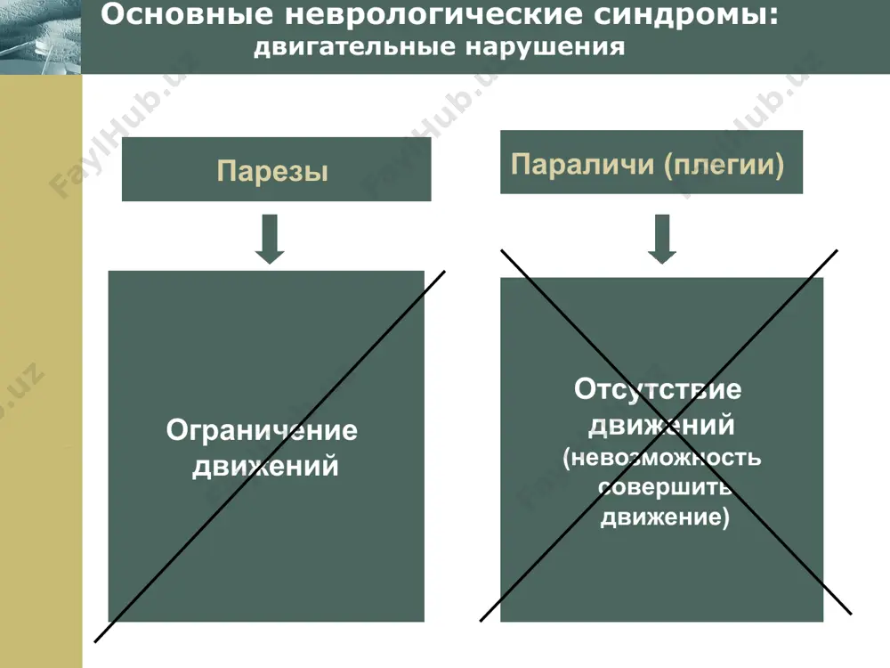 нингита: гнойный серозный последствия: гидроцефальный синдром – головные боли, частая рвота, повышенная утомляемость, эмоциональная лабильность, быстрая истощаемость нервной системы. www.themegallery.com company logo инфекционные болезни нервной системы: энцефалит энцефалит – воспаление головного мозга первичный – вызывается нейротропным вирусом: эпидемическим, клещевым, комариным, полиомиелитоподобным, вирусом простого герпеса. вторичный – является осложнением инфекционных заболеваний: корь, ветряная оспа, токсоплазмоз, иногда - после прививок акдс. клиническая картина: повышение температуры до 40; общемозговые симптомы; очаговые симптомы; нарушение сознания до полной комы. кома: глубокое угнетение сознания, характеризующееся нарушением регуляции жизненно важных функций (дыхания, кровообращения). механизм заболевания – отёк; повышенное кровенаполнение сосудов; мелкоточечные кровоизлияния; разрушение нервных клеток и их отростков. формы эпидемический клещевой постветряночный последствия грубые задержки психического и моторного развития, нарушение высших психических функций, двигательной сферы. www.themegallery.com company logo инфекционные болезни нервной системы: полиомиелит полиомиелит – избирательное поражение двигательных нейронов спинного и головного мозга и оболочек мозга причина вирус полиомиелита, попадающий в организм воздушно-капельным путём или через пищу …