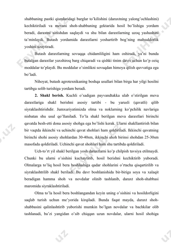 a qisqartirilib va siyraklashtrilib shakl beriladi. bu davr boshlanishida bir-biriga soya va xalaqit beradigan hamma shoh va novdalar olinib tashlanib, daraxt shoh-shabbasi maromida siyraklashtiriladi. olma to’la hosil bera boshlangandan keyin uning o’sishini va hosildorligini saqlab turish uchun me’yorida kirqiladi. bunda faqat mayda, daraxt shoh-shabbasini qalinlashtirib yuborishi mumkin bo’lgan novdalar va bachkilar olib tashlanadi, ba’zi yangidan o’sib chiqqan uzun novdalar, ularni hosil shohiga aylantirish uchun kaltalashtiriladi. xaddan tashqari yirik ularni boshqa shohlarga tenglashtirish uchun qisqartirib kesiladi. daraxtlar o’sishdan orqada qolsa (10-15sm), bir yillik novdalarning normal o’sishini ta’minlash uchun uch-besh yoshli o’sgan ona shohlarga taqab kesiladi. daraxt hosil qilmagan yilda butash sistemasi quyidagicha bo’ladi: shu yili o’sib novdalar ko’proq kaltalashtriladi, halqasimon meva shohlari siyraklashtirilib, murakkab halqasimon novdalar kaltalashtiriladi. natijada bir yillik novdalarning o’sishi tezlashadi, hosil kurtaklarining shakllanishi sustlashadi. daraxt hosil bergan yili: agar yilaro hosil beradigan daraxt hosil bergan yili butalmagan bo’lsa, bu ishni hosil bergan yili qilish kerak. bunday holatda, novdalar …