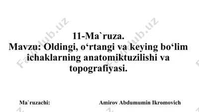 anatomik tuzilishi va topografiyasi — PPTX