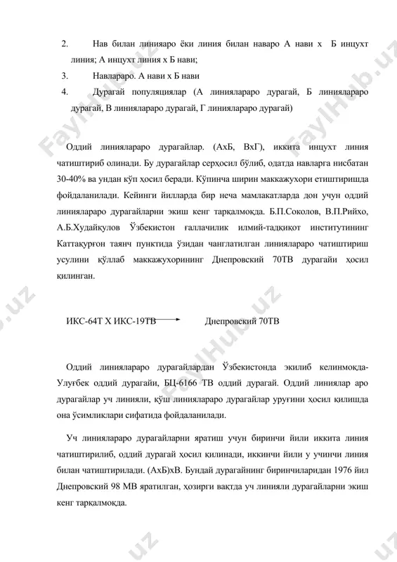 чи йили иккита линия чатиштирилиб, оддий дурагай ҳосил қилинади, иккинчи йили у учинчи линия билан чатиштирилади. (ахб)хв. бундай дурагайнинг биринчиларидан 1976 йил днепровский 98 мв яратилган, ҳозирги вақтда уч линияли дурагайларни экиш кенг тарқалмоқда. а.б.худайқулов ҳам муаллифликда ғаллачилик илмий-тадқиқот институтининг каттақурғон таянч пунктида маккажухорининг уч линияли дурагайини қуйидагича ҳосил қилган: (в-73т х в-84эт) х дкк 18вт қўш линиялараро дурагайлар яратиш учун биринчи йили тўртта ўзидан чанглатилган линия икки жуфт қилиб чатиштирилиб, иккита оддий дурагай ҳосил қилинади ва иккинчи йили бу одий дурагайлар ўзаро чатиштирилади ва натижада қўш линиялараро дурагай яратилади. 1 йил ахб ва вхг 2 йил (ахб) х (вхг) қўш линиялараро дурагай оддий дурагай оддий дурагай бундай дурагайлар ишлаб чиқаришда кўп тарқалган. улар одатдаги навларга нисбатан 25-35% кўп ва арзон ҳосил беради. булар: вир-42, вир-156, вир-338, краснодарский-5, днепровский-90т ва бошқалар. вир-42 дурагайи икки оддий дурагайни чатиштиришдан ҳосил қилинади: слава (вир-44 х вир-38) х светоч (вир-40 х вир-43) бунда слава …
