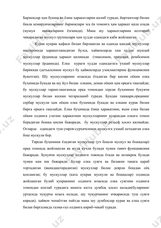 надиган булса, хайвонларда хам ҳудди шундай мускуллар ёрдамида ҳаракат қилинади (тишсимон, трапеция, ромбсимон мускуллар ёрдамида). елка кураги худди одамдагига ухшаб мускуллар бириккан (детьалсимон мускул бу ҳайвонларда узоқлаштириш функциясини йуқотган). шу мускулларнинг юзасида ётадиган бир қисми оёқни елка буҳимида букади ва шу йул билан елкани, демак оёқни ҳам орқага ташлайди; бу мускуллар таранглашганида орқа томондан терсак буҳимини букувчи мускуллар билан кескин чегараланиб туради. бундан ташқари,орқанинг сербар мускули ҳам оёқни елка буҳимида букади ва елкани курак билан бирга орқага ташлайди. елка буҳимида ёзиш ҳаракатини, яъни елка билан оёқни олдинга узатиш ҳаракатини мускулларнинг куаракдан елкага томон борадиган бошқа қисми бажаради, бу мускуллар рельеф ҳосил қилмайди. отларда одамдаги туш-умров-сурҳичсимон мускулга ухшаб кетадиган елка бош мускули бор. тирсак буҳимини ёзадиган мускуллар (уч бошли мускул ва бошқалар) орқа томонда жойлашган ва жуда кучли булади чунки таянч функциясини бажаради. букувчи мускуллар олдинги товонда ётади ва нозикроқ булади чунки кам иш бажаради. булар елка суяги ва билакни танага …