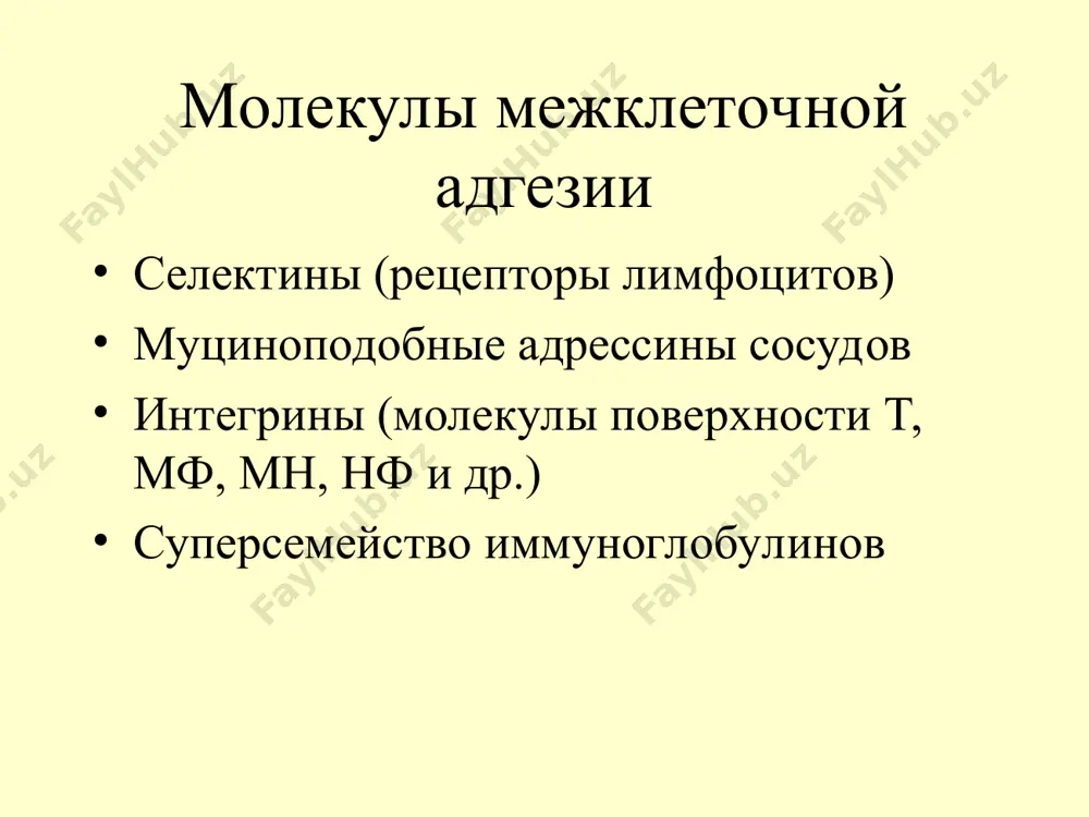 точечному связыванию с поверхностью в клетки гуморальный иммунный ответ на т-независимый антиген тимус-независимые антигены – это в–клеточные митогены или полисахариды бактериальных стенок, содержащие много повторяющихся структур, способные активировать только зрелые в-лимфоциты особенности: 1. продукция ig только одного класса – igм 2. не формируются клетки-памяти гуморальный иммунный ответ, опосредуемый в1-лимфоцитами контроль и регуляция иммунного ответа контроль иммунного ответа: - генетический - нейро-эндокринный регуляция иммунного ответа: - изотипическая - идиотипическая - супрессорные цитокины (ил-10, тфр-β) - регуляторные т-клетки регуляторные т-клетки варианты регуляторных т-лимфоцитов: • естественные (природные) – спонтанно развиваются в тимусе (cd25+cd8+foxp3+) основная функция: супрессия аутоагрессивных клонов т-лимфоцитов и поддержание толерантности к антигенам плода при беременности. • адаптивные (индуцированные) –формируются на периферии из зрелых т-лимфоцитов после антигенной стимуляции (th3 и tr1-клетки) основная функция: контроль иммунного ответа, толерантности и подавление избыточных иммунных процессов. литература: 1. хаитов р.м. иммунология: учеб. для студентов мед вузов.- м.: геотар-медиа, 2011.- 311 с. 2. хаитов р.м. иммунология. норма …