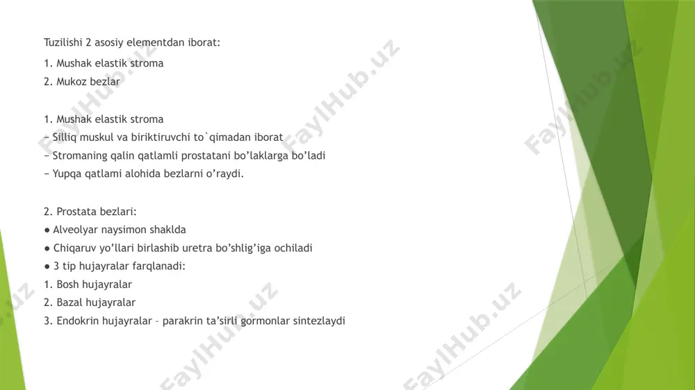 dig’i. tez-tez siyish: kun davomida va tunda (nocturia) tez-tez siyish ehtiyoji. siydik chiqarishda og’riq: dizuriya, ya’ni siyish paytida og’riq yoki noqulaylik. siydik yo’llari infeksiyalari: siydik pufagining to’liq bo’shamasligi infeksiyalarga olib kelishi mumkin. siydik pufagi toshlari: qolgan siydik kristallanishi natijasida toshlar hosil bo’lishi. gidronefroz: siydik oqimining to’sqinligi buyraklarda siydik yig’ilishiga olib keladi. buyrak yetishmovchiligi: uzoq muddatli siydik oqimi to’sqinligi buyrak funksiyasining buzilishiga olib kelishi mumkin. siydikni ushlab turolmaslik: siydik pufagi mushaklarining zaiflashuvi natijasida. prostata bezi raki bu rak turi juda keng tarqalgan boʻlib, erkaklar orasidagi oʻlim koʻrsatkichi boʻyicha, oʻpka rakidan keyin ikkinchi oʻrinda turadi. quyidagilar etimologik omil sifatida xizmat qilishi mumkin. genetik omillar: brca1, brca2, pten, tp53 genlaridagi mutatsiyalar prostata saratoni xavfini oshiradi. milliy biotexnologiya markazi androgenlar: testosteron va dihidrotestosteron (dht) prostata hujayralarining o’sishini rag’batlantiradi. yosh: yosh o’tishi bilan prostata saratoni rivojlanish xavfi oshadi. irqiy omillar: afro-amerikalik erkaklarda prostata saratoni rivojlanish xavfi yuqoriroq. oziqlanish: yuqori yog’li ovqatlar, qizil go’sht va sut …