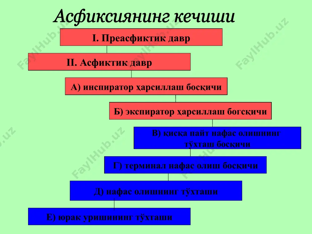 mexanik asfiksiya - Page 4
