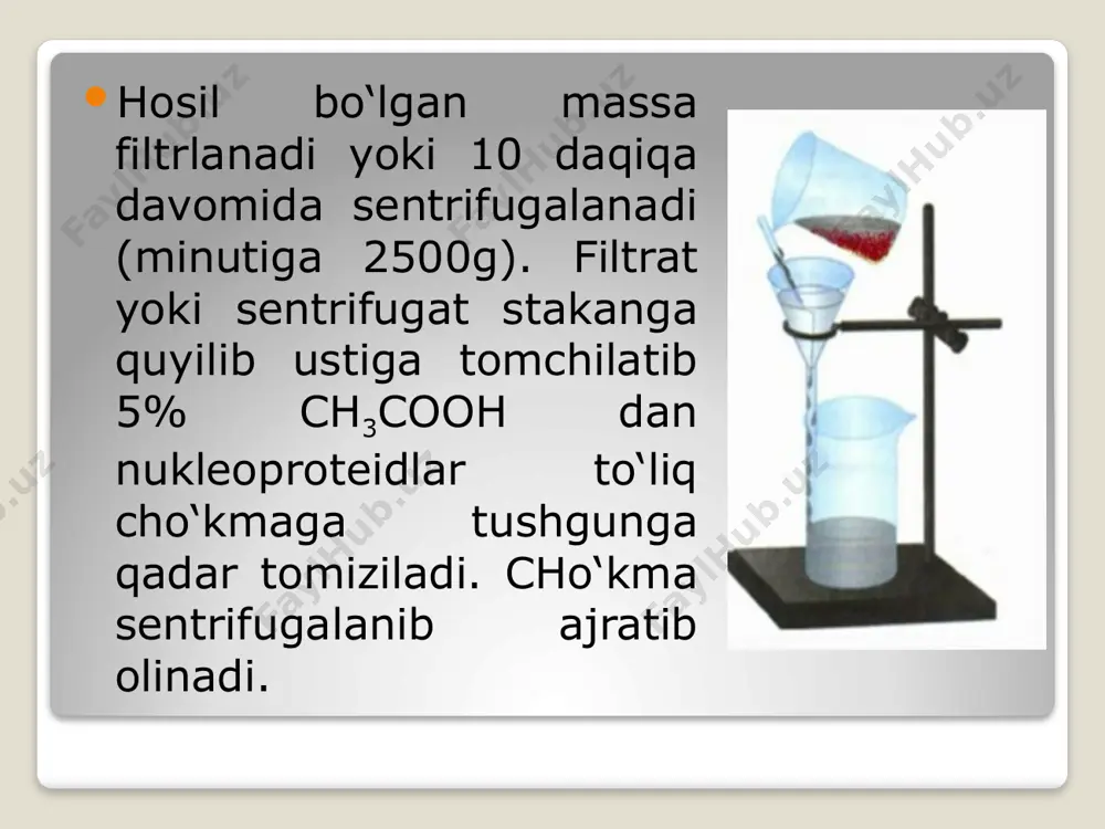 achitqidan nukleoproteidlarni ajratish - Page 4