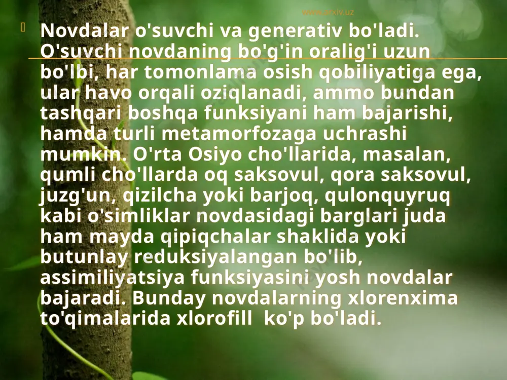 deyiladi, qish bo'lmaydigan mintaqalarda ularni tinim davridagi kurtaklar deyiladi. bajaradigan vazifasiga qarab bunday kurtaklarni doimiy tiklanish kurtaklari deb yuritsh mumkin, chunki aynan shu kurtaklar tufayli tinchlik davridan keyin novdalar sistemasi qayta tiklanadi. bunday kurtaklar daraxt va o'tchil o'simliklarga xosdir. kelib chiqishiga ko'ra tiklanish kurtaklari ekzogen yoki endogen bo'lishi mumkin. www.arxiv.uz uxlovchi yoki yashirin kurtaklar. daraxt, buta, butacha va ko'p yillik o'tchil o'simliklarda uxlovchi kurtaklar uchraydi. kelib chiqish jihatidan ular tiklanish kurtaklariga o'xshaydi, lekin farqi shundaki, bu kurtaklar bir necha yillar mobaynida ba'zi o'simliklarda umrining oxirigacha ham o'sib novda hosil qilmaydi. hunday bo'lsa-da ular o'sish qobiliyatini uzoq muddat saqlab qoladi. qachonki o'simlikning asosiy novdasi shikastlansa, sinsa, kesib tashlansa yoki o'simlik qarisa uxlovchi kurtaklar o'sa boshlaydi (uyg'onadi). daraxtlar kesilsa, to'nka atrofida yosh novdalar hosil bo'lishi kuzatilgan. ayrim o'simliklarda (lipa yoki juka, tollar va boshqalarda) novda uchki tomonidan quriy boshlaganda uxlovchi kurtaklar yangi\ yosh novdalarni hosil qilishi mumkin. www.arxiv.uz ba'zi o'simliklarda, masalan, shokolad …