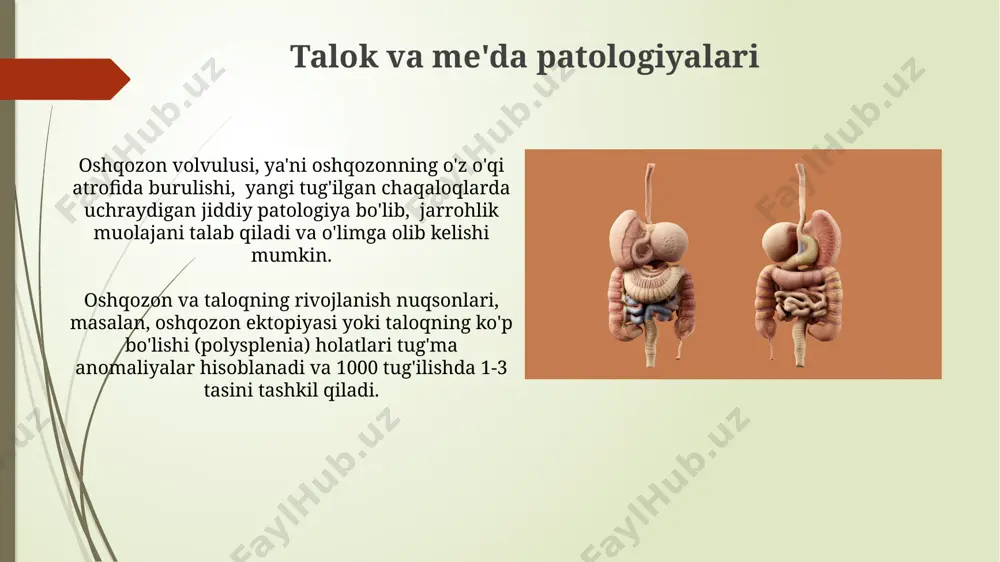 ona qornida rivojlanish patalogiyasi - Page 4