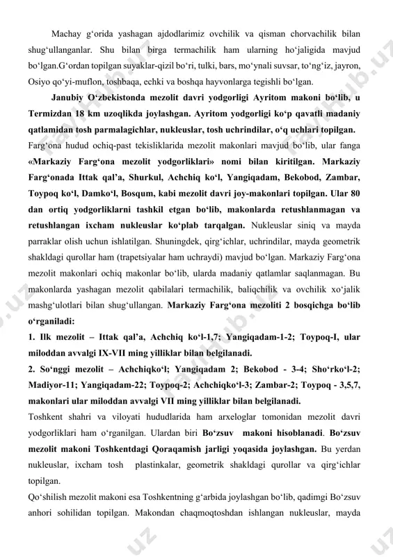 -muflon, toshbaqa, echki va boshqa hayvonlarga tegishli bo‘lgan. janubiy o‘zbekistonda mezolit davri yodgorligi ayritom makoni bo‘lib, u termizdan 18 km uzoqlikda joylashgan. ayritom yodgorligi ko‘p qavatli madaniy qatlamidan tosh parmalagichlar, nukleuslar, tosh uchrindilar, o‘q uchlari topilgan. farg‘ona hudud ochiq-past tekisliklarida mezolit makonlari mavjud bo‘lib, ular fanga «markaziy farg‘ona mezolit yodgorliklari» nomi bilan kiritilgan. markaziy farg‘onada ittak qal’a, shurkul, achchiq ko‘l, yangiqadam, bekobod, zambar, toypoq ko‘l, damko‘l, bosqum, kabi mezolit davri joy-makonlari topilgan. ular 80 dan ortiq yodgorliklarni tashkil etgan bo‘lib, makonlarda retushlanmagan va retushlangan ixcham nukleuslar ko‘plab tarqalgan. nukleuslar siniq va mayda parraklar olish uchun ishlatilgan. shuningdek, qirg‘ichlar, uchrindilar, mayda geometrik shakldagi qurollar ham (trapetsiyalar ham uchraydi) mavjud bo‘lgan. markaziy farg‘ona mezolit makonlari ochiq makonlar bo‘lib, ularda madaniy qatlamlar saqlanmagan. bu makonlarda yashagan mezolit qabilalari termachilik, baliqchilik va ovchilik xo‘jalik mashg‘ulotlari bilan shug‘ullangan. markaziy farg‘ona mezoliti 2 bosqichga bo‘lib o‘rganiladi: 1. ilk mezolit – ittak qal’a, achchiq ko‘l-1,7; yangiqadam-1-2; toypoq-i, …