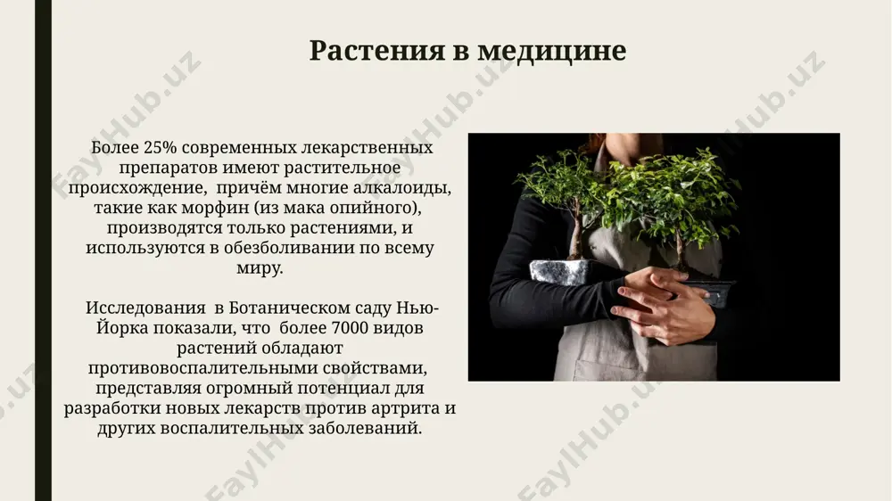 ции климата земли. растения как источник пищи более 70% мировых калорий поступает от всего лишь трёх культур: риса, пшеницы и кукурузы, выращиваемых преимущественно в азии, африке и америке. картофель, введённый в европу из южной америки в 16 веке, предотвратил массовый голод в ирландии, став основой питания для миллионов людей. угрозы растительному миру более 30% видов растений в мире находятся под угрозой исчезновения, согласно данным международного союза охраны природы (мсоп), причём наибольшее воздействие испытывают тропические леса амазонии. за последние 100 лет вырубка лесов привела к потере около 50% лесных массивов в европе и юго-восточной азии, что резко снизило биоразнообразие и увеличило выбросы углекислого газа в атмосферу. растения и защита от эрозии в бассейне реки амазонки, площадью более 7 млн. кв. км, тропические леса играют ключевую роль в предотвращении почвенной эрозии, удерживая более 100 млрд. тонн почвы ежегодно. по данным fao, деградация земель, включая эрозию, приводит к ежегодным потерям урожая на 10% …