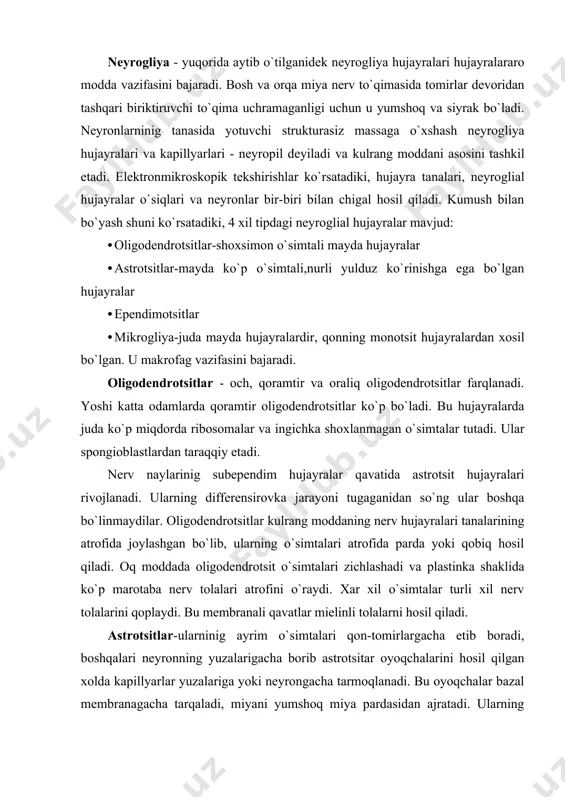 a etib boradi, boshqalari neyronning yuzalarigacha borib astrotsitar oyoqchalarini hosil qilgan xolda kapillyarlar yuzalariga yoki neyrongacha tarmoqlanadi. bu oyoqchalar bazal membranagacha tarqaladi, miyani yumshoq miya pardasidan ajratadi. ularning sitoplazmasida lizosomalar va fibrillalar bo`lib, oqsillari filamentlaridan farq qiladi, o`simtalarning tuzilishiga qarab 2 xil astrotsitlar farqlanadi. · fibrillyar astrotsitlar · plazmatik astrotsitlar fibrilyar astrotsitlar-uzun kam shoxlanuvchi o`simtalardir. bu astrotsitlar oq moddada joylashgan. plazmatik astrotsitlar-kalta va ko`p sonli shoxlanuvchi o`simtalarga egadir. bunday astrotsitlar qadoqsimon moddada ko`pdir. asosiy vazifasi-tayanch va chegaralovchi. ependimotsitlar - orqa miya kanali va miya qorinchasini qoplaydi. tuzilishi: tanasi cho`zilgan bo`lib, bo`shliqqa qaralgan yuzasida kipriklar, bazal qismida uzun shoxlanuvchi o`simtalar va sitoplazmada yirik mitoxondriya, kiritmalar va pigmentlar bor. sekretor faoliyati: miya bo`shlig`iga faol biologik aktiv moddalar ajratadi. tannitsitlar: ependima hujayralarning bir turi bo`lib, deyarli kipriklari bo`lmaydi. ularning o`simtalari miyaga yo`nalgan bo`lib, qon tomirlarda tugaydi. ontogenezda bu hujayralar neyroblastlar tomon yo`nalgan bo`ladi. mikrogliya: monotsitar kelib chiqishga ega bo`lgan mayda hujayralar bo`lib, ular …