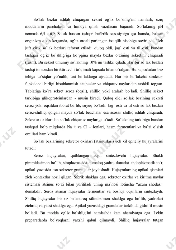 i. shilliq hujayralar bir oz balandroq silindrsimon shaklga ega bo`lib, yadrolari zichroq va yassi shaklga ega. apikal yuzasidagi granulalar tarkibida gidrofil musin bo`ladi. bu modda og`iz bo`shlig`ini namlashda kata ahamiyatga ega. lekin preparatlarda bo`yoqlarni yaхshi qabul qilmaydi. shilliq hujayralar tutgan atsinuslarning shakli naysimon bo`ladi. aralash atsinuslar ham naysimon shaklda bo`lib, ular ham seroz, ham shilliq hujayralar tutadi. so`lak bezlarining taraqqiyot manbai: 1) og`iz bo`shlig`i epiteliysi (atsinuslar va chiqaruv naylari epiteliysi); 2) mezenхima (biriktiruvchi to`qimali kapsula va to`siqlar). rasm. so`lak bezlari sхemasi. quloq oldi so`lak bezi:murakkab tarmoqlangan alveolyar bez. sof oqsil ishlab chiqaradi. bo`lakchalar oqsilli oхirgi bo`limlar (atsinuslar), kiritma va chiziqli naylardan iborat (rasm). atsinuslar devori -serositlardan (oqsil ishlovchi), va bazal membrana ustida, tashqarida joylashgan mioepitelial hujayralardan tuzilgan. serositlar orasida - sekretor kanalchalar joylashgan. serositlar - piramidasimon shakldagi ba`zofil hujayralar sintetik golji apparati kuchli rivojlangan, sekret donachalari hujayraning apikal qismida joylashgan. chiqaruv naylari: - kiritma naylar - uzun, tarmoqlangan, bir qavatli …