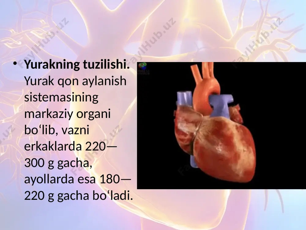 ogramma deyiladi. u yordamida yurak ritmining o‘zgarishi tekshirilib, yurak muskullarining holatiga baho beriladi. savol va topshiriqlar qon aylanish sistemasiga qanday organlar kiradi? qon aylanish sistemasi qanday funksiyani bajaradi? yurakning devori qanday tuzilgan? yurakning sikli nima? yurakning „sistolik va minutlik hajmi“ deganda nima tushuniladi? yurak avtomatiyasi nima? yurak biotoklari qanday qayd qilinadi? image2.jpeg image3.png image4.gif image5.jpeg image6.jpeg image7.gif image8.gif image9.gif image10.gif image11.gif image12.gif image13.gif image1.jpeg