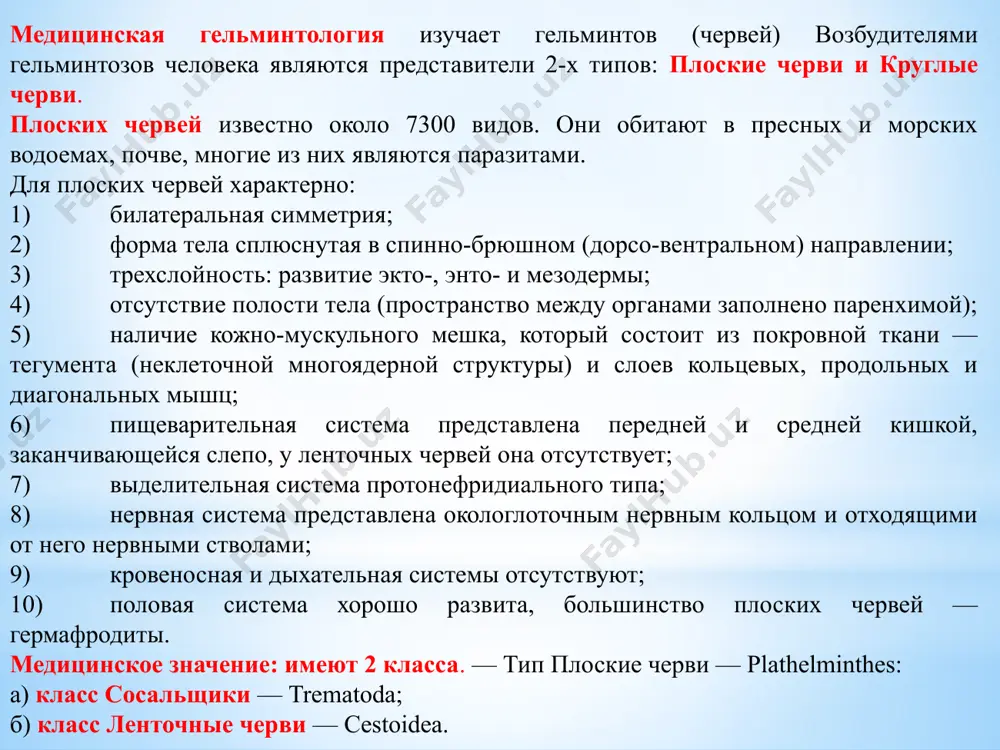 ени патогенное действие заключается в разрушении клеток печени, развитии цирроза и желтухи лабораторная диагностика основана на обнаружении яиц в фекалиях методом овогельминтоскопии профилактика: использование кипяченой воды, тщательное мытье овощей и зелени и оздоровление животных печеночный сосальщик – fasciola hepatica цикл развития основной хозяин – крупный мелко рогатый скот и человек промежуточный хозяин – малый прудовик выделительная система печеночного сосальщика 2 1 3 4 5 6 7 8 кошачий (сибирский) сосальщик– opisthorchis felineus возбудитель описторхоза локализация: поджелудочная железа, печенб, желчный пузырь географическое распространение: на территории западной сибири, западной европе, восточного казахстана морфология: кишечник не разветвлен, яичник округленный,2 семенника, расположенные в задней части тела не разветвлены, передний конец тела паразита уже заднего жизненный цикл: происходит с участием окончательного, промежуточного и дополнительного хозяина. окончательный хозяин человек и плотоядные животные.промежуточный хозяин пресноводная молюска (битиния), дополнительный хозяин рыбы из семейства карповых. из организма основного хозяина в воду попадают яйца с мирацидией (инвазионная для промежуточного хозяина) …