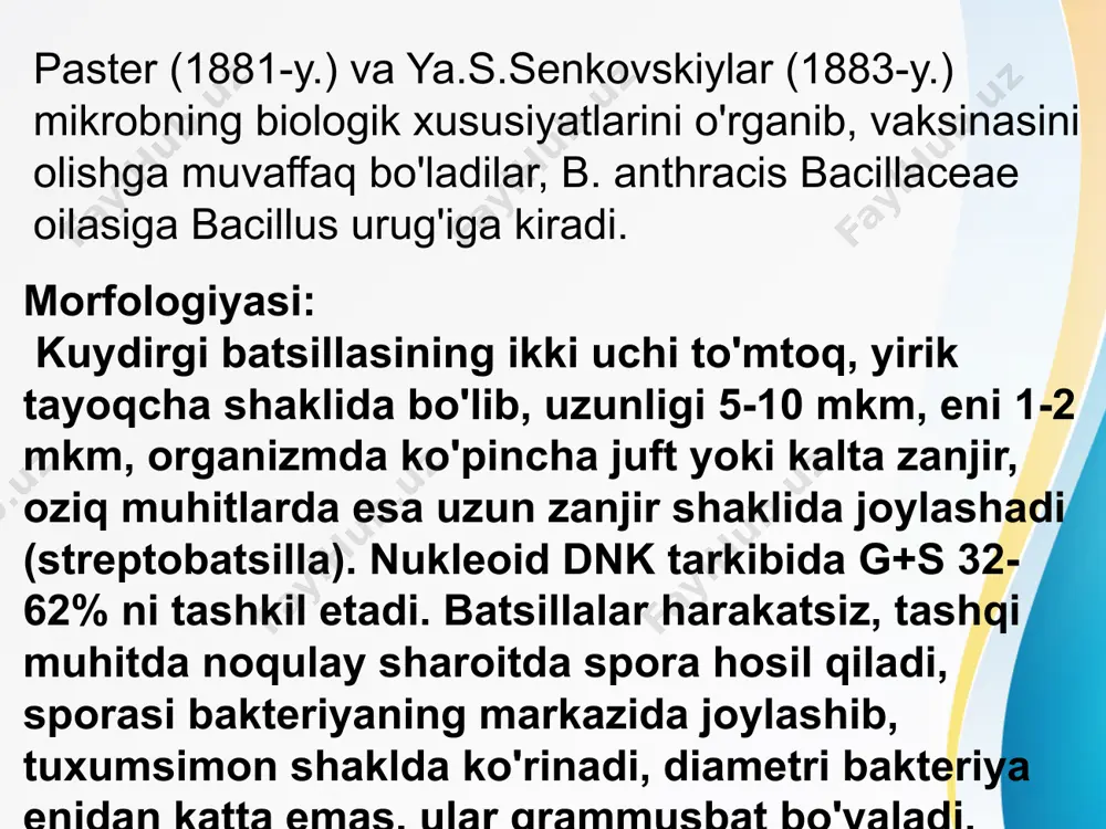 avo yo'llari orqali o'tadi. odam organizmiga kirgan kuydirgi tayoqchasining vegetativformasini bir qismini fagotsitlar yutib oladi (fagotsitoz), kolganlari limfa va qon orqali organizmiga tarqaladi. kuydirgi mikroblari jigar, taloq, o'pka, ichak devori, teri osti biriktiruvchi to'qimasiga etih boradi. keyinchalik shu organlarda ular organizmni himoya kuchlari ta'sirida halok bo'ladi yoki infeksiya o'choqlarini paydo qiladi. bemor organizmda pretsipitinlar, agglyutininlar, komplementni biriktiruvchi antitelalar hosil bo'ladi. o'lgan bemor jasadi yorib tekshirilganida qon quyilib, qorayib qolganligi, jigar va taloq kattalashganligi, to'q qizil rangdaligi ko'rinadi. boshqa organlarga qon quyiladi. gemorragiya yuz bergan joylarda ko'plab kuydirgi tayoqchalari topiladi. klinikasi : kasallikning inkubatsion davri bir necha soatdan 6-8 kungacha cho'ziladi, o'rtacha 2-3 kun davom etadi. klinik turlari: teri va septik turi. teri turida kuydirgi karbunkuli (pustulamaligna) deb ham yuritiladi. kuydirgi karbunkuli ko'pincha, badanning ochiq erlarida (yuz, bo'yin, qo'llar) joylashadi. kuydirgi tayoqchasi kirgan joyda avvalo qizil tuguncha (papula) paydo bo'ladi. bu tuguncha tez orada pufakchaga (vezikula) aylanadi. pufakcha ichida qon aralash …