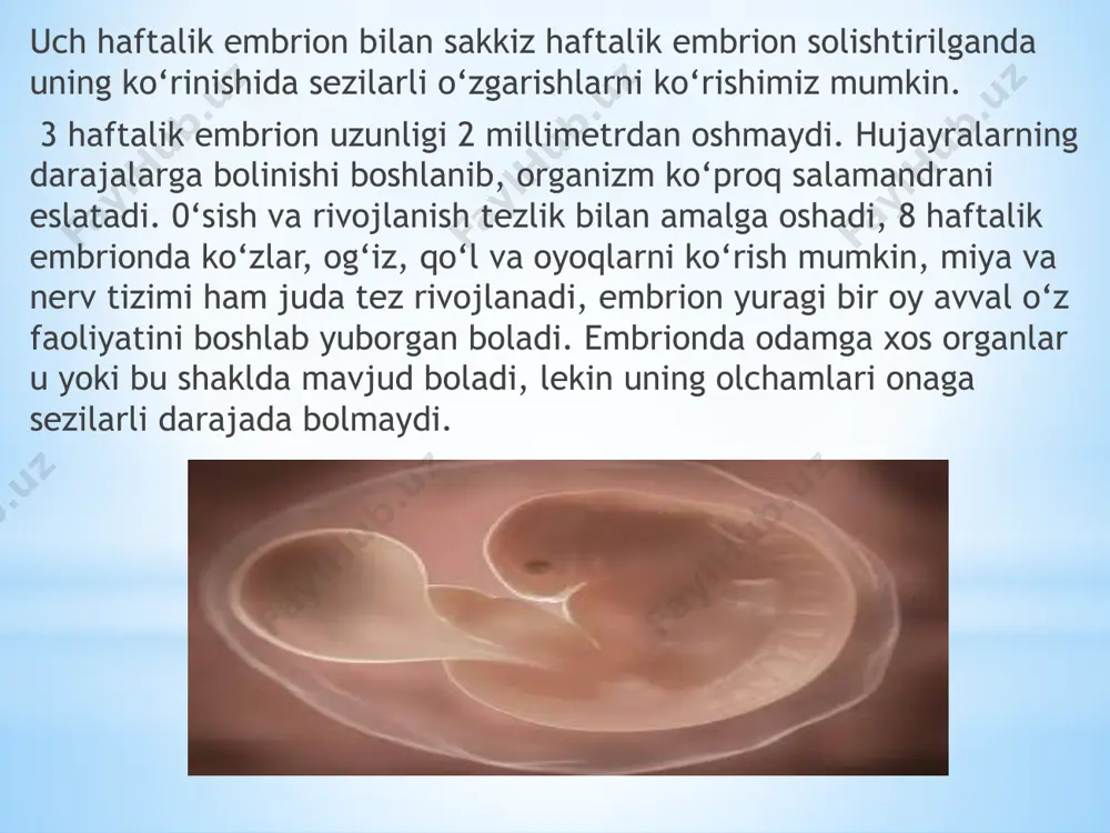 prenatal davri - Page 5