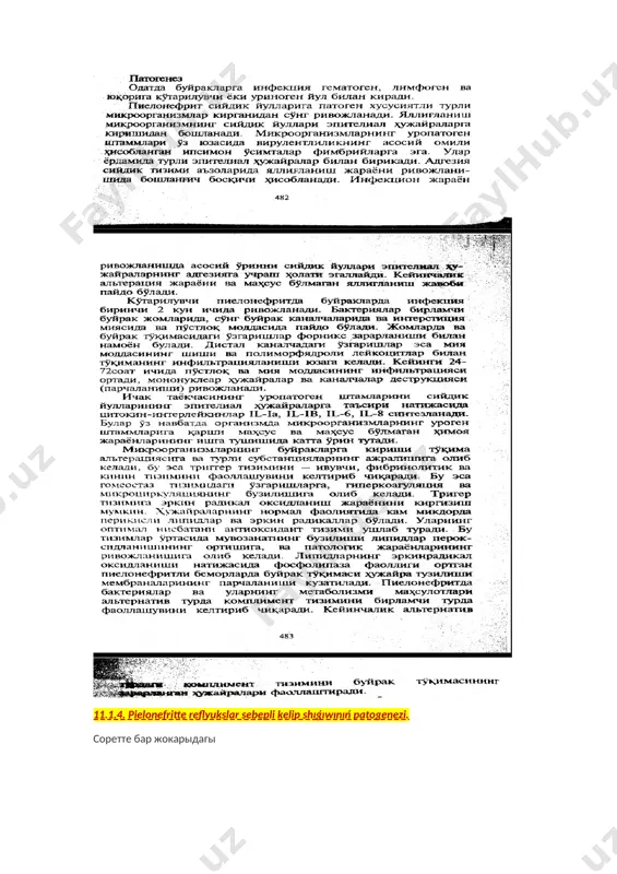 vaskulitler, angiopatiyalar, gipotermiya (dene temperaturasınıń páseyiwi) sebepli júzege kelgen buzılıwlar, aylanıp atırǵan qan kóleminiń páseyiwi, búyrek toqımasındaǵı ishemik oshaqlar. 3.diagnostika hám emlew usılları: sidik qaltası kateterizaciyası, rentgen kontrast zattıń jiberiliwi (gemo haım urodinamikanıń buzılıwına alıp keledi), sidik jollarındaǵı, jınısıy aǵzalar hám kishi shanaq aǵzalarındaǵı xirurgiyalıq aralasıwlar, joqarı muǵdarda osmotik aktiv zatlar qollanılıwı (poliglyukin, reopoliglyukin, gemodez – kanalshalar dúzilisin zıyanlaydı), nefrotoksik antibiotikler qollanılıwı (aminoglikozidler urodinamikanıń buzılıwına alıp keledi). 4. uretra tarawınıń pataslanıwına alıp keliwshi faktorlar: dáret uslay almaw, jeke gigiena qaǵıydalarına ámel etpew, qurt invaziyası, sidik uslay almaw. bulardan basqa pielonefrit rawajlanıwı ushın qáwipli faktor bolıp shańaraq aǵzaları hám jaqın tuwısqanlar arasında búyrek kesellikleriniń bolıwı, nefropatiyalar, tubulopatiyalar, násillik zat almasıwdıń buzılıwı, fetopatiyalar, jergilikli immun qorǵaw faktorlarınıń páseyiwi de esaplanadı. 11.1.3. pielonefritte infekciya sebepli kelip shıǵıwınıń patogenezi. 11.1.4. pielonefritte reflyukslar sebepli kelip shıǵıwınıń patogenezi. соретте бар жокарыдагы image1.jpeg