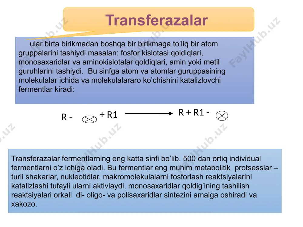 fermentlar - Page 3