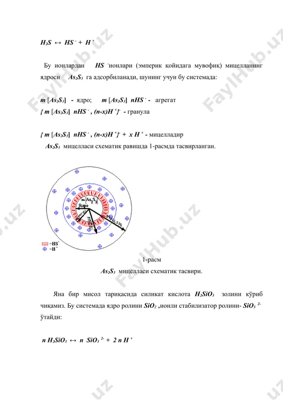 22+ - агрегат, {m[h2sno3]* n sno22+, 2(n-x) cl-}+2x - гранула, {m[h2sno3]* n sno22+, 2(n-x) cl-}+2x + 2x cl- - мицелла бўлади (7-расм). 7-расм энди agi золининг тузилиши билан танишиб чиқайлик. агар agi нинг суюлтирилган эритмасига ортиқча миқдорда ki қўшилса, ионли стабилизатор вазифасини ki ўтайди ва гранула манфий зарядланади, чунки бу вақтда i - ионлари адсорбиланади; бу ерда m[agi] -ядро, m[agi ]* n i - - агрегат, {m[agi]* n i - , (n-x)k+ }+ - гранула, {m[agi]* n i - , (n-x)k+ }+ + xk+ - мицелладир (8-расм). 8-расм агар agno3 ортиқча бўлса, ионлар стабилизатор вазифасини agno3 бажаради; гранула мусбат зарядли бўлади; бу системада m[agi] -ядро, m[agi ]* nag+ - агрегат, {m[agi]* nag+, (n-x) no3-}+ - гранула, {m[agi]* nag+, (n-x) no3-}+ + x no3- - мицелла бўлади (9-расм). 9-расм {m[мкц]* nor- , (n-x) na+}- + x na+ фойдаланилган адабиётлар: 1. к.с.ахмедов, х.р.рахимов, «коллоид химия» тошкент «ўзбекистон» 1992 йил 2. ш.назаров «физик …
