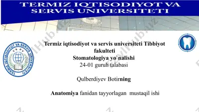 nafas a'zolari taraqqiyoti va burun anomaliyalari — PPTX