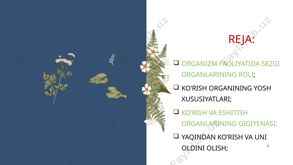 zgirligi eng yuqori bolib, song kamaya boradi. teridagi temperatura o`zgarishlari ikki xil retseptorlari bilan qabul qilinadi. 5 6 7 ta’m bilish analizatori 7 8 hid bilish analizatorlari 8 ko’rish analizatori tashqi dunyodagi narsalarni rangi, shakli haqida tasavvur xosil qilishimizga yordam bеradi. ko’zning bеvosita ta'sirlovchisi yorug’lik bo’lib, yorug’lik ko`z rеtsеptoriga ta'sir etib ko’ruv sеzgisini xosil qiladi. ko’.ruv organi bolaning 11 – 12 yoshigacha rivojlanib boradi. koʻrish analizatorining birinchi qismi toʻr pardada joylashgan. inson koʻzi 380 dan 760 nm gacha boʻlgan uzunlikdagi yorugʻlik nurlarini qabul qiladi. koʻzga tushayotgan yorugʻlik nurlari shox pardadasi, qorachiq orqali oʻtib, gavharda sinib, shishasimon tanadan oʻtib ,toʻr pardada joylashgan kolbasasimon va tayoqchasimon hujayralarga taʼsir etadi. bu hujayralarda yorugʻlik energiyasi nerv qoʻzgʻalishi — impulsga aylanib, multipolyar va gangiloz hujayralarga,nerv tolalariga yetib boradi. 9 ko’rish analizatorlari заголовок презентации 10 ko’z soqqasi va uni o’rab turgan apparatdan tashkil topgan. ko’z soqqasi sharga o’xshash bo’lib, ko’z kosasida joylashgan. kuz soqqasining dеvori uch …