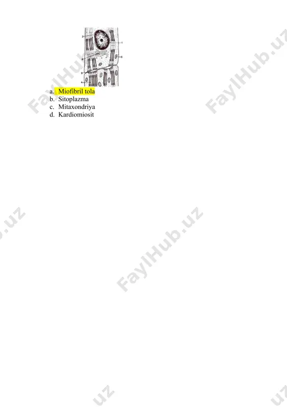 biologiya sinovlari test savollari - Page 3