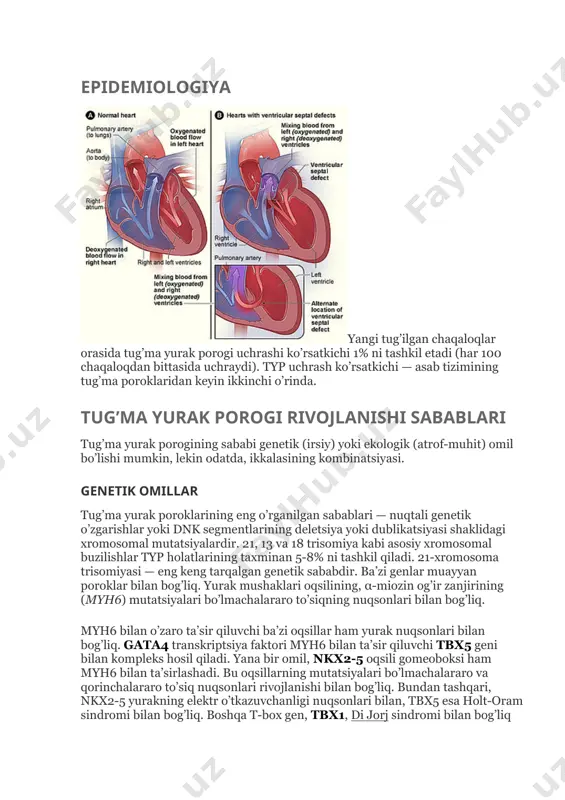 sonlari bilan og’rigan 31814 nafar bemorni tahlil qilish natijasida porok turi va bemorning jinsi o’rtasida aniq bog’liqlik mavjudligi aniqlandi. jinslarning nisbati bo’yicha tug’ma yurak nuqsonlari uch guruhga bo’linishi mumkin: «erkak», «ayol» va «neytral». jadvalda e — erkak, a — ayol. tug’ma yurak va magistral tomir nuqsonlari bo’lgan bemorlar jinsi nisbati tug’ma porok jinslar nisbati, e:a arteriya nayi ochiqligi 1 : 2.72 lautembaxer kasalligi 1 : 2.14 bo’lmachalararo to’siqning ikkilamchi tipdagi nuqsoni 1 : 1.84 qorinchalararo to’siq nuqsoni va arteriyta nayi ochiqligi 1 : 1.51 fallo triadasi 1 : 1.45 eyzenmenger kompleksi 1 : 1.40 bo’lmacha-qorincha to’sig’ining qisman nuqsoni 1 : 1.36 bo’lmachalararo to’siqning birlamchi tipdagi nuqsoni 1 : 1.20 o’pka venalari birikishining qisman anomaliyasi 1 : 1.19 qorinchalararo to’siq nuqsoni 1 : 1.02 aorta va o’pka arteriyasi orasidagi to’siq nuqsoni 1 : 1.01 bo’lmacha-qorincha to’sig’ining to’liq nuqsoni 1 : 1.01 ebshteyn anomaliyasi 1.02 : 1 o’pka arteriyasi stenozi 1.04 : …