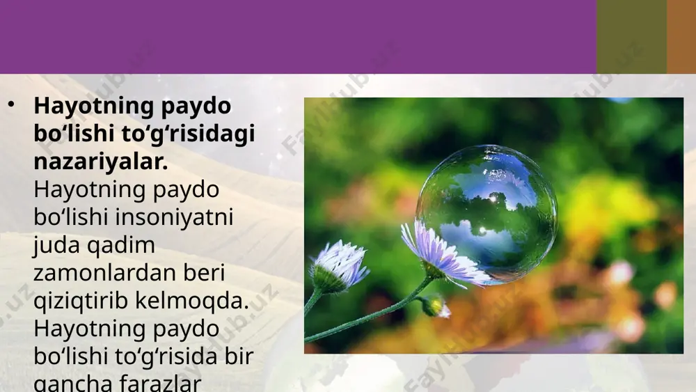 i jarayonini tushuntiring. hozirgi zamonda hayot abiogen sintez yo‘li bilan qaytadan hosil bo‘lishi mumkinmi? abiogen sintezni tasdiqlovchi qanday ma’lumotlarni bilasiz? image2.jpeg image3.jpeg image4.jpeg image5.jpeg image6.png image7.jpeg image8.jpeg image9.jpeg image10.jpeg image11.jpeg image1.jpeg