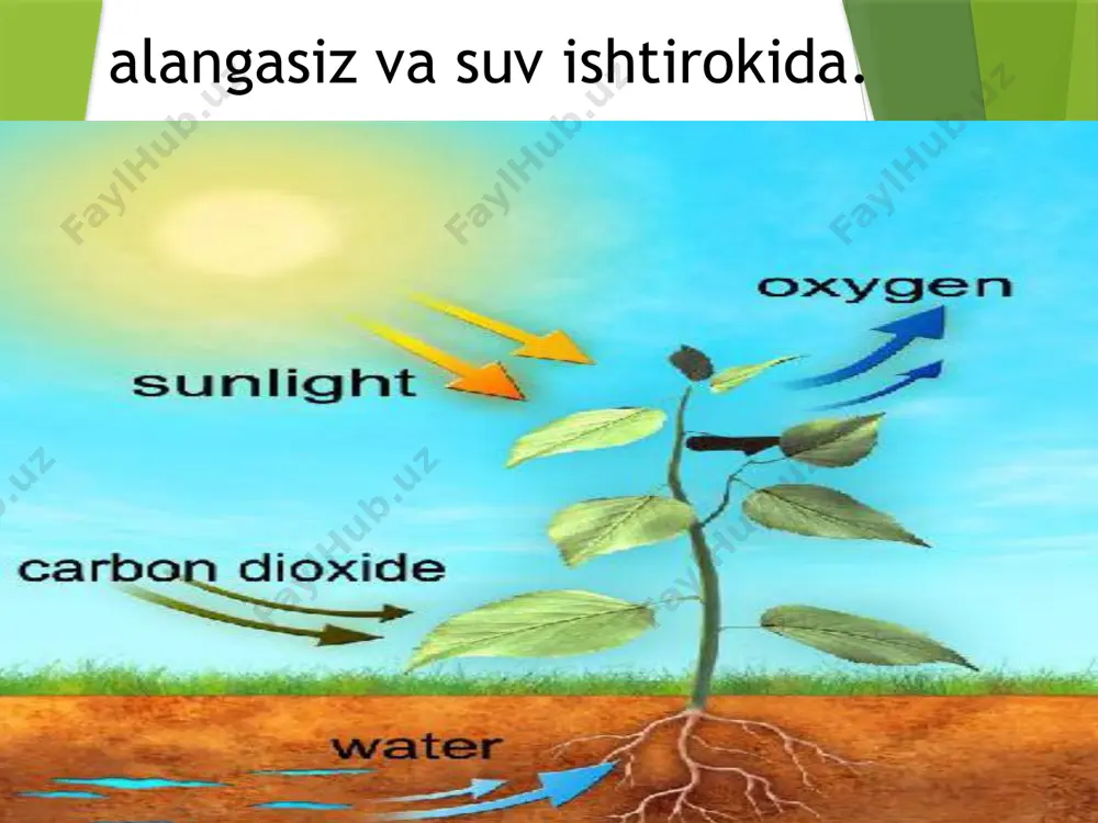 biologik oksidlanish jarayonlari - Page 4
