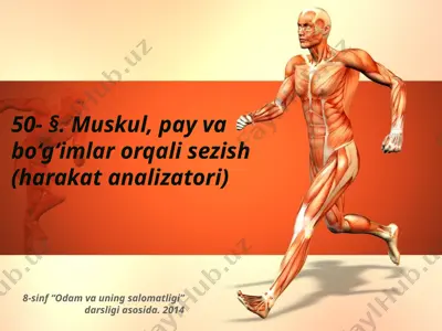 muskul, pay va bo‘g‘imlar orqali sezish (harakat analizatori). 8 - sinf — PPTX