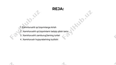 xamirturushli qo'ziqorinlar — PPTX