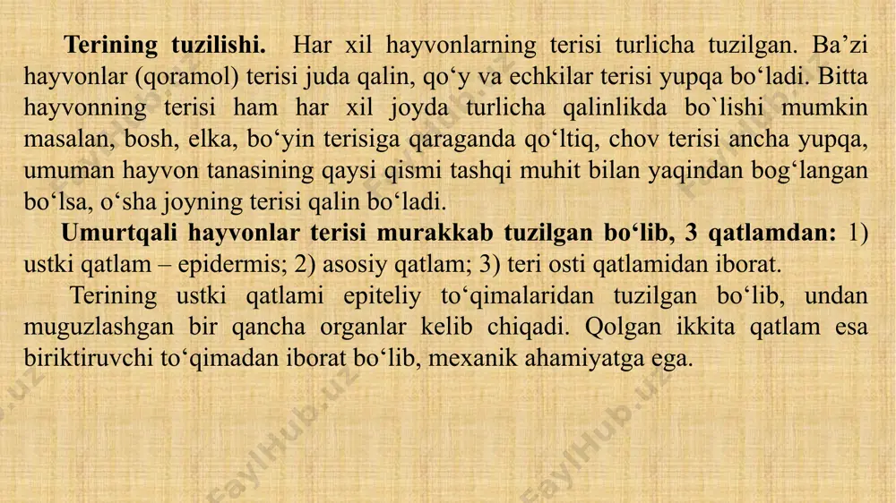 ma terining eng chuqur qavati bo‘lib, zich, tartibsiz joylashgan kollagen va elastik tolalari mavjud biriktiruvchi to‘qimadan tuzilgan. dermatit – terining yallig‘lanishi. hamma hayvonlarda, ammo it va mushuklarda ayniqsa ko‘p uchraydigan kasallik. kasallikni qator sabablar chaqiradi, ammo asosiyini aniqlash qiyin bo‘ladi. allergik (atopik) dermatit ozuqali allergiyada rivojlanadi, uni burga, kanalar, xonaning changi va o‘simliklar gulchangi chaqiradi. kontaktli dermatitni kimyoviy qo‘zg‘atgich tanaga tekkanda hosil bo‘ladi. teri hosilalariga quyidagilar kiradi: jun - pilus qattiq shoxsimon organ bo‘lib, epidermisning o‘zgarishidan kelib chiqqan cho‘ziluvchan va egiluvchan tolalardan tashkil topgan bo‘ladi. jun tolalari tananing ko‘pchilik qismini qoplaydi. u ba’zi joylarda juda zich, ba’zi joylarda esa siyrak bo‘ladi. muguzlashgan organlarda, masalan, tuyoq, shox va sut bezlari so‘rg‘ichlarida jun butunlay bo‘lmaydi. jun tanani tashqi muhitdan bo‘ladigan har xil ta’sirdan, chunonchi, sovuq, issiq va mexanik ta’sirdan saqlaydi. jun bo‘lmagan hayvonlarning (fil, karkidon va begemotlarning) terisi juda qalin bo‘ladi. jun terida joylashishiga qarab bir necha xilga bo‘linadi: a) qoplovchi jun …