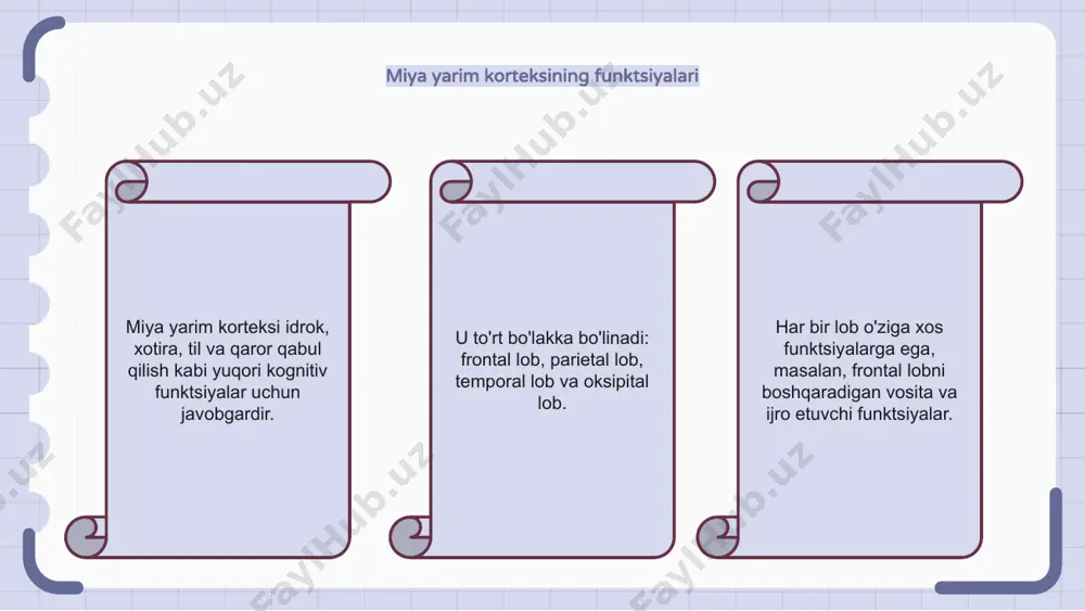 nerv tizimi oliy bo'lmalarini vazifalari - Page 5