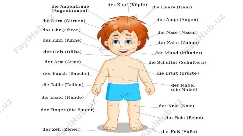 übung 6. welcher körperteil ist das? - Page 3