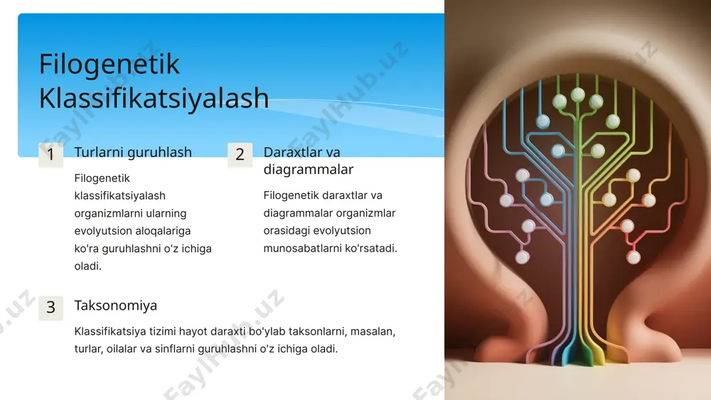 n ahamiyati kasalliklarning kelib chiqishini tushunish filogenetik tadqiqotlar turli xil kasalliklarning kelib chiqishini va ularning tarqalishini o'rganishga yordam beradi. dori-darmonlarni ishlab chiqish filogenetik tahlillar dorilarning samaradorligini oshirish va yangi dori-darmonlarni yaratish uchun foydalaniladi. davo strategiyasini optimallashtirish filogenetik ma'lumotlar bemorlarga mos davo strategiyasini ishlab chiqishga yordam beradi. filogenetik rivojlanishni aks ettirish usullari 1 filogenetik daraxtlar organizmlar orasidagi evolyutsion munosabatlarni ko'rsatadi 2 dendrogrammalar klaster tahlili natijalarini vizualizatsiya qilish 3 filogenetik tarmoqlar evolyutsion o'zgarishlarning xilma-xilligini aks ettiradi filogenetik rivojlanish tushunchasi organizmlarning kelib chiqishi filogenetik rivojlanish - bu turli xil organizmlarning kelib chiqishini va ularning o'zaro bog'liqliklarini o'rganish. genetik o'zgarishlar ushbu jarayon davomida organizmlarning genetik tarkibi vaqt o'tishi bilan o'zgaradi. tabiiy tanlash tabiiy tanlash - bu organizmlarning muhitga moslashishini belgilaydigan asosiy omil. filogenetik rivojlanishning asosiy bosqichlari prokaryotik hujayralar yer yuzida hayotning paydo bo'lishi, birinchi prokaryotik hujayralarning vujudga kelishi, bu davr taxminan 3,5 milliard yil avval boshlangan. eukaryotik hujayralar birinchi eukaryotik hujayralarning vujudga kelishi, bu …