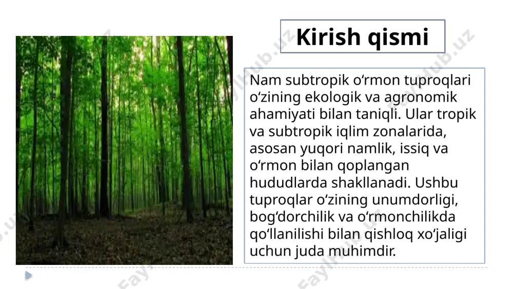 uhitni, balki iqtisodiy rivojlanishni ham ta’minlaydi. karbonning yutilishi nam subtropik o‘rmon tuproqlari atmosferadan karbon dioksidni yutib, iqlimni tartibga solishda muhim rol o‘ynaydi. o‘rmonlar ekosistema orqali karbonni ushlab qoladi, bu esa global isishning oldini olishga yordam beradi. shu tariqa, bu tuproqlar iqlim o‘zgarishiga qarshi kurashda muhim ekologik rol o‘ynaydi. suv resurslarining muhofazasi nam subtropik o‘rmon tuproqlari suvning to‘planishi va oqib chiqishini tartibga solishda ham muhimdir. ular suvning tuproqda saqlanishi va eroziyaga qarshi kurashishda yordam beradi. bu, ayniqsa, suv resurslarining cheklangan bo‘lishi mumkin bo‘lgan mintaqalarda muhimdir. tuproqni barqarorlashtirish nam subtropik o‘rmon tuproqlari, o‘simliklar va o‘rgimchak tarmoqlari orqali tuproq eroziyasining oldini olishga yordam beradi. yoqimli ko‘katlar, o‘simliklarning ildiz tizimlari va mikroskopik organizmlar tuproqni bir joyda ushlab turishga yordam beradi. bu esa tuproqning unumdorligini saqlab qolishga yordam beradi. melioratsiya ehtiyoji nam subtropik o‘rmon tuproqlari o‘zining yuvilishi va eroziya jarayonlari tufayli tez-tez melioratsiya choralari talab qiladi. tuproqning unumdorligini saqlab qolish uchun muljallangan chora-tadbirlar, masalan, eroziya …