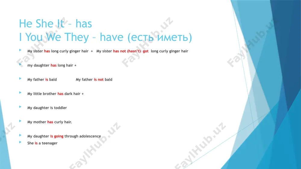 english grammar practice book - Page 3