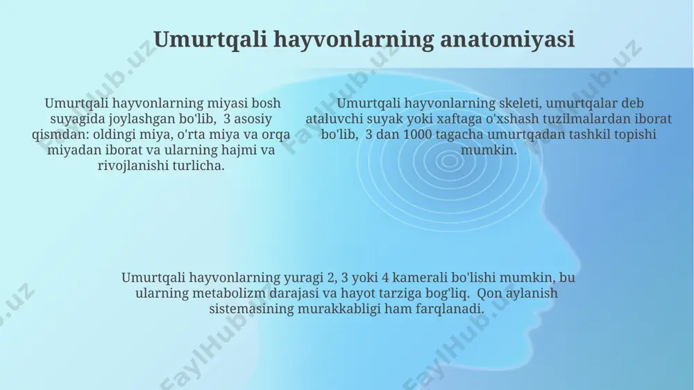 birga tana shaklini saqlashga yordam beradi. umurtqasizlarning paydo bo'lishi dengiz umurtqasizlari, masalan, mercanlar, dengiz yulduzlari va mollyuskalar, yer yuzidagi umurtqasizlarning 97% dan ortigʻini tashkil qiladi va okeanlarning ekosistemalarida muhim rol oʻynaydi. umurtqasizlarning 540 million yil avval kambriy portlashi davrida koʻp hujayrali organizmlar sifatida paydo boʻlganligi va bu davrda hayotning ajoyib xilma-xilligining boshlanishi kuzatilganligi aniqlandi. umurtqasizlarning 540 million yil avval kambriy portlashi davrida koʻp hujayrali organizmlar sifatida paydo boʻlganligi va bu davrda hayotning ajoyib xilma-xilligining boshlanishi kuzatilganligi aniqlandi. umurtqasizlarning fiziologiyasi umurtqasizlarning nafas olish tizimi turlicha boʻlib, masalan, hasharotlarda traxeya tizimi, mollyuskalarda esa gillalar orqali kislorod almashinuvi amalga oshiriladi, bu esa 100 ga yaqin turli xil nafas olish usullarining mavjudligini ko'rsatadi. ko'pchilik umurtqasizlarda ochiq qon aylanish tizimi mavjud bo'lib, qon to'g'ridan-to'g'ri to'qimalarga quyiladi, bu esa metabolik jarayonlarning tezligini ta'minlaydi. masalan, hasharotlarda qonning yurakdan to'qimalarga tez tarqalishi 10 marta tezroq boʻlishi mumkin. suvda yashovchi umurtqasizlarning osmoregulyatsiyasi mexanizmi, ya'ni suv-tuz muvozanatini saqlash mexanizmi, tashqi …