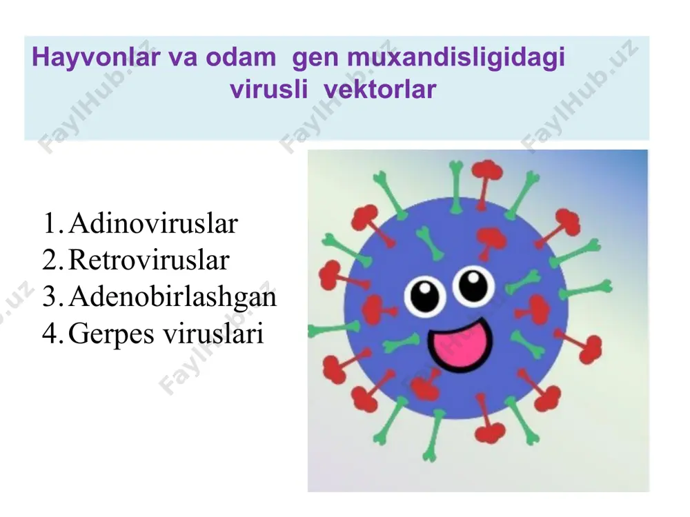 и эса 10-70% ташкил қилади. suniy rangli baliqlar gfp oqsili bo’lgan baliqlar gfp geni kiritilgan hayvonlar rak hujayralari metastazasi harakatini ko’rish mumkin rakka qarshi dorilar effektivligini real time ko’rish mumkin yog’ sintez qiluvchi genlari nakaut qilingan sigirlar somatik hujayrali terapiya odamning somatik hujayralari genetik kodi o'zgarishini o'z ichiga oladi. somatik hujayralarga terapevtik genlarni kiritish, masalan: fibroblastlar, myoblastlar, epiteliya hujayralari, asab hujayralari, glial hujayralar. bu asosan to'liq yetilgan organizmlarda bajariladi. odatda nasildan nasilga o’tmaydi. ген терапияси нима дегани? организмда бирор оқсилни ишлаб чиқара олмайдиган дифектли генни даволаш учун вирусли вектор тизимларидан фойдаланган ҳолда соғлом генни организмга ex vivo ёки in vivo киритишга айтилади. ex vivoda organizmdan kasal to’qima hujayralari ajratib olinadi, virus bilan gen kiritiladi, sog’lomlari saralab olinib kasal organga transplantatsiya qilinadi ex vivo ген терапияси. ex vivo ген терапияси қуйидаги босқичларни ўз ичига олади. 1. бемордан ҳужайрасини олиш. 2. алохидалаштирилган ҳужайраларда керакли генни ўтказиш ёрдамида генетик дефектни тузатиш. 3. генетик …