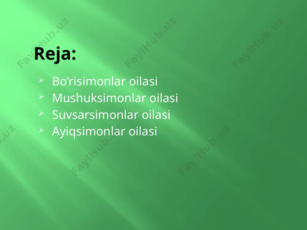 yirtqich sutemizuvchilar turkumi taqdimoti - Page 3
