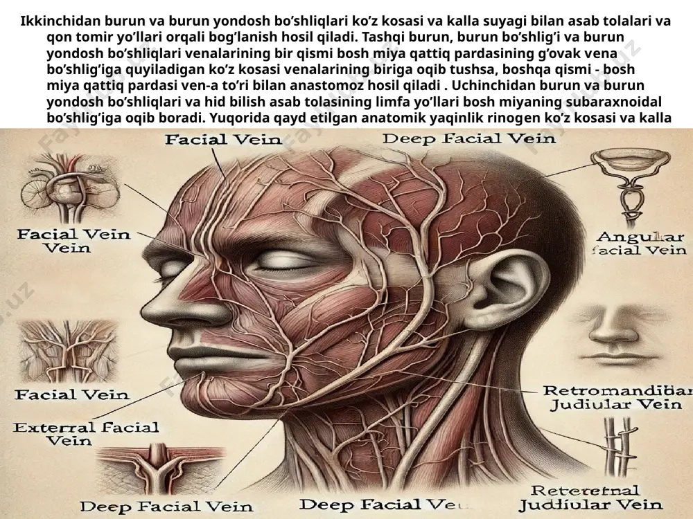 pardasi yallig’lanib shishadi, shuning uchun bemorda hid bilish qobiliyati pasayadi. bundan tashqari orqa kataklar ko’rish asab tolasiga yaqin joylashganligi sababli ularning yallig’lanishi bemorning ko’rish o’tkirligini pasayishiga olib keladi. og’ir hollarda jarayon ko’z kosasiga tarqalishi mumkin; bunday hollarda bemor ko’zining yuqori qovog’i shishib, uning yuqori ichki burchagi tekislanib, ko’z olmasi old tomonga siljiydi. paypaslanganda burun negizi va ko’zning ichki burchak sohasi og’riydi (periostit). yopiq empiema suyak usti pardasi va suyak to’qimasiga tarqalib, yorilganda ko’zning ichki burchagi sohasida oqma hosil bo’ladi. yallig’lanish jarayonini ko’z qovoqlarining yumshoq to’qimasi va vena qon tomirlari kanali (flebit) orqali tarqalishi natijasida bemorda kalla ichi asorati rivojlanishi va bemorning ahvolini yanada og’irlashtirishi mumkin etiboringiz uchun raxmat image3.jpg image4.jpg image5.jfif image6.jpeg /docprops/thumbnail.jpeg